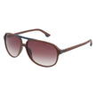 Brown Combined Injected Sunglasses