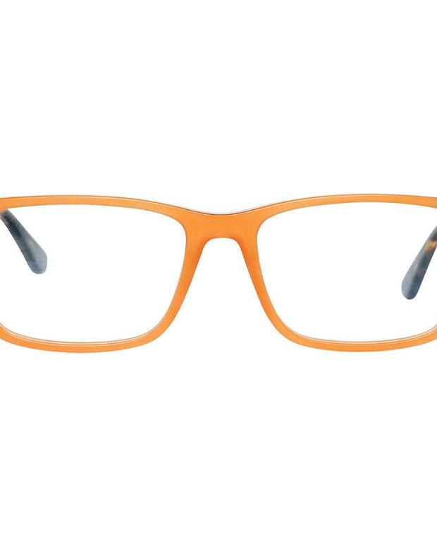 Brown Plastic Glasses (Frames)