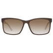 Brown Acetate Sunglasses