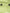 Green Cotton Collared Men Button Down Shirt