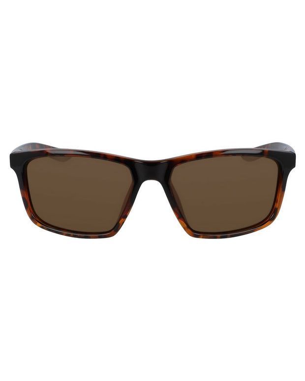 Brown Injected Sunglasses
