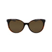 Brown Injected Sunglasses