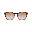 Brown Injected Sunglasses