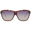 Brown Injected Sunglasses