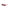 Multicolor Injected Sunglasses