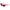 Multicolor Injected Sunglasses
