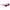 Multicolor Injected Sunglasses