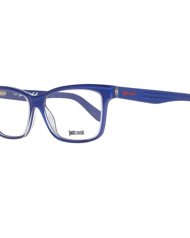 Blue Plastic Glasses (Frames)