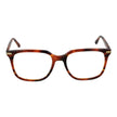 Brown Plastic Glasses (Frames)