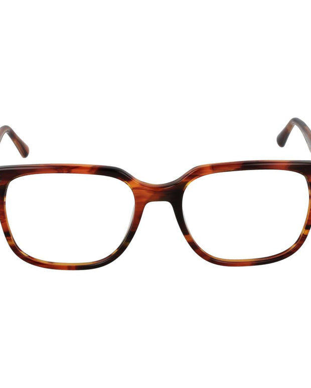 Brown Plastic Glasses (Frames)