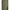 Green Cotton Skinny Pant