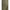 Green Cotton Skinny Pant