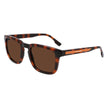 Brown Injected Sunglasses