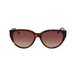 Brown Acetate Sunglasses