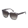 Gray Acetate Sunglasses