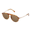 Brown Acetate Sunglasses