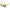 Yellow Acetate Sunglasses