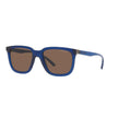 Blue Acetate Sunglasses