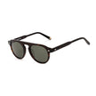 Brown Acetate Sunglasses