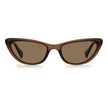 Brown Plastic Sunglasses