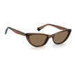 Brown Plastic Sunglasses