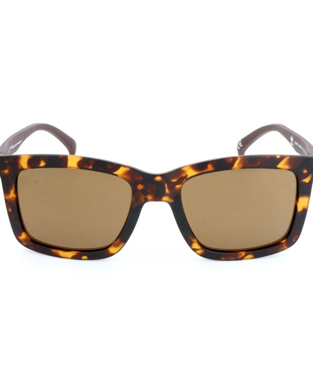 Brown Acetate Sunglasses