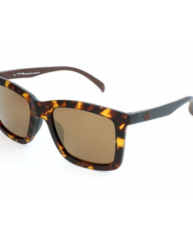 Brown Acetate Sunglasses