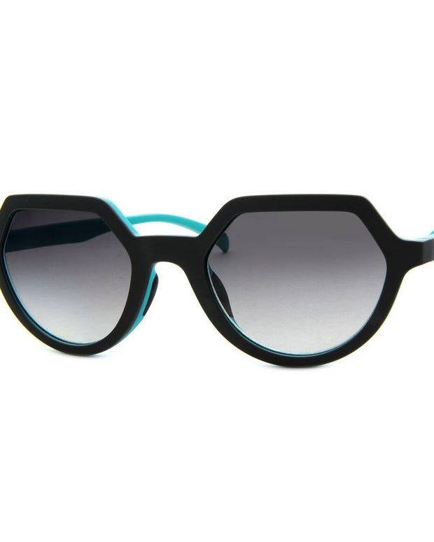 Black Plastic Sunglasses