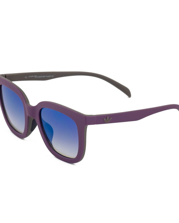 Purple Plastic Sunglasses