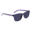 Purple Plastic Sunglasses