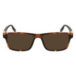 Brown Acetate Sunglasses