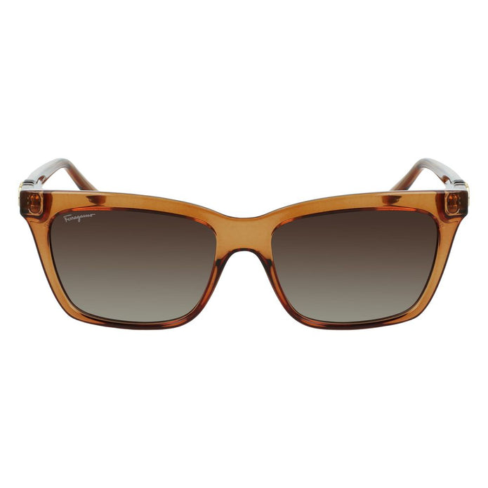 Brown Injected Sunglasses