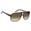 Brown Acetate Sunglasses