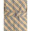 Archivio Check shirt Dress