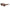 Brown Acetate Sunglasses