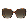 Brown Acetate Sunglasses