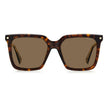 Brown Acetate Sunglasses