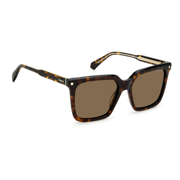 Brown Acetate Sunglasses