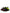 Multicolor Low Top Sorrento Sneakers Shoes