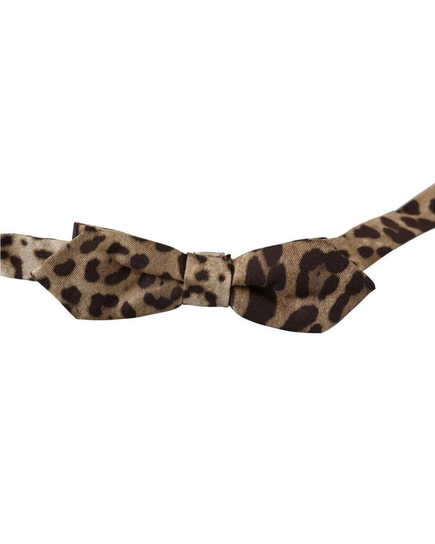 Brown Silk Ties & Bowty