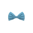 Blue Silk Bowty