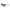 Brown Resin Sunglasses