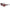 Red Injected Sunglasses