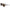 Brown Injected Sunglasses