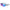 Blue Injected Sunglasses