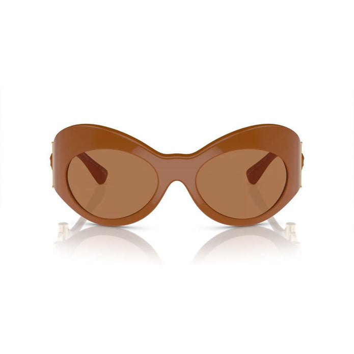 Brown Acetate Sunglasses