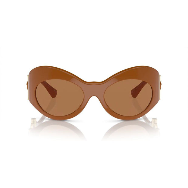 Brown Acetate Sunglasses