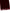 Bordeaux Cotton Silk Fringe Shawl Wrap Scarf