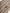 Beige Wool Knitted Ski Mask Balaclava Hat
