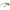 Black Men Sunglass